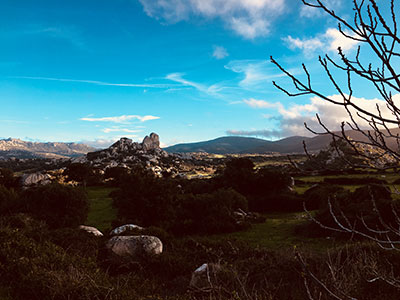 sardinia noiret